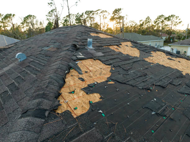 Best Emergency Roof Repair Services  in Clute, TX