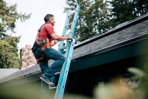 Best Roof Moss and Algae Removal  in Clute, TX